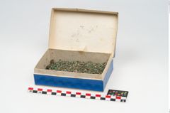 Foto von Bronzeschüsselhelmnagel (NHMW-PRAE-078105)